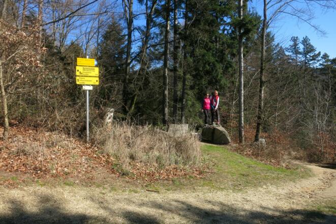 Durch Wald und über Wiesen