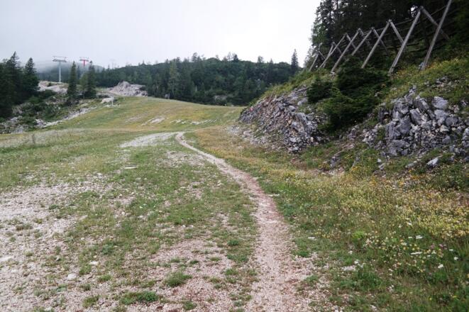 Das letzte Stück führt z.T. auf der Schipiste.