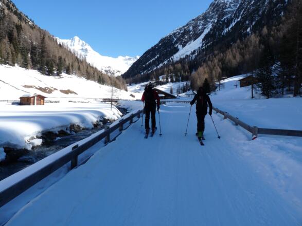 Schattig folgen wir der Forststraße ins Horlachtal.