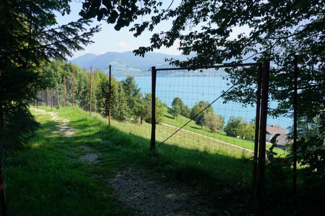 Entlang des Wildgeheges