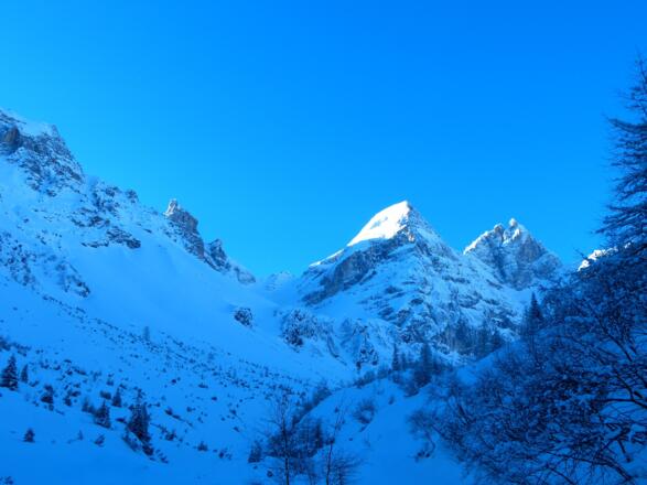 Gschnitzer und Pflerscher Tribulaun