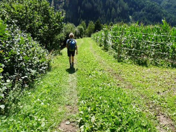Wenige Meter nach dem Fahrtlehn Bach zweigen wir linkerhand ab und steigen über die Wiese zum Kreuzweg ab.