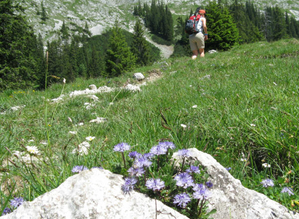 Wir wandern durch blühende Wiesen!