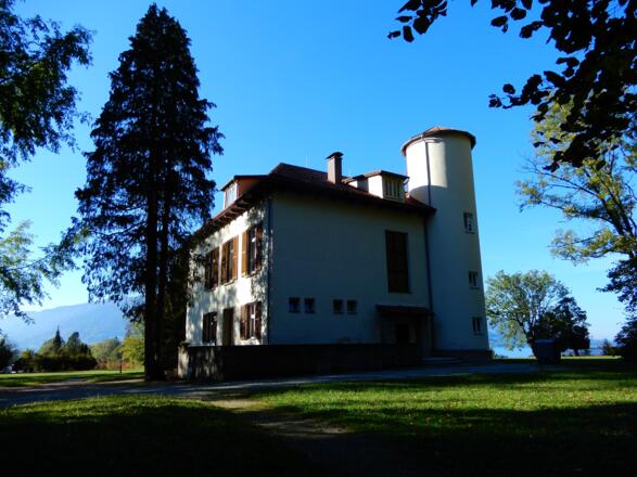 Weißenbach am Attersee