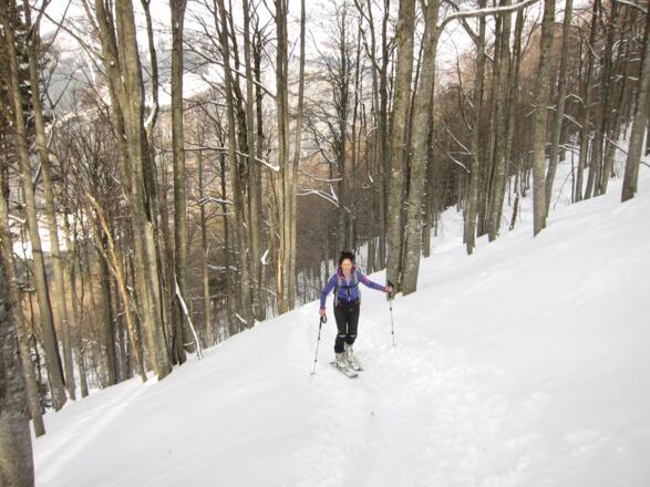 Die Waldschneise wird immer steiler