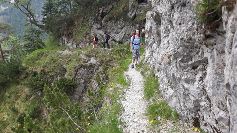 schmaler Weg