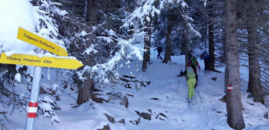 Der Sommerweg bietet auch im Winter einen guten Wegverlauf durch den steilen Wald (vorausgesetzt die Schneelage passt; sonst ist es besser auf der Forststraße zu bleiben.)