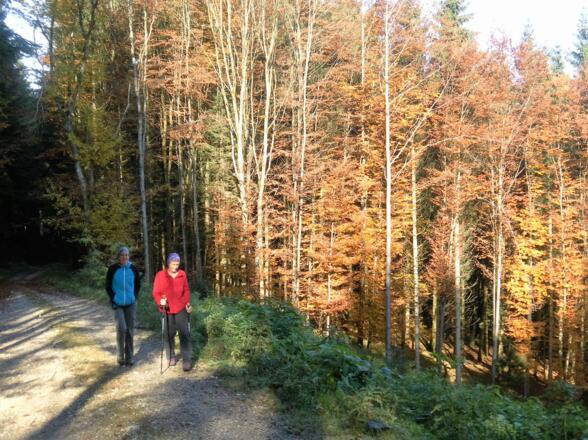 Herbst