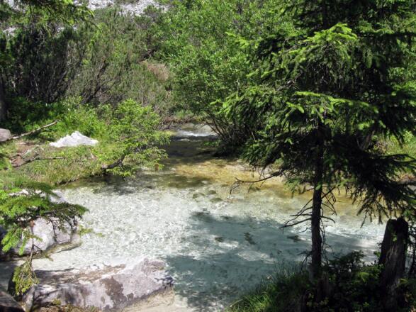 Das ist der Ursprung der Isar