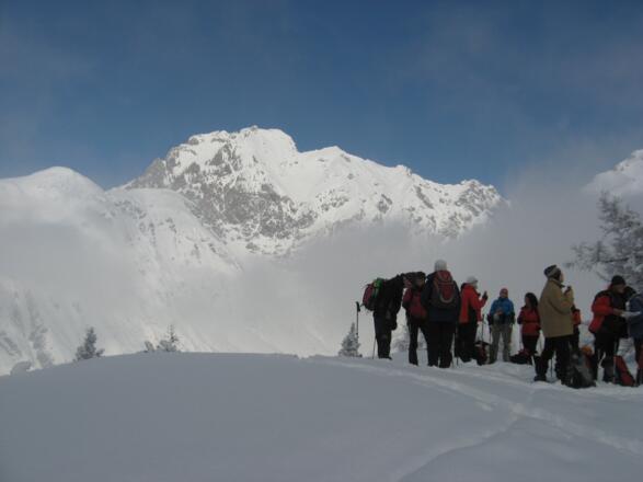Blick Vom Jöchle  zum Gipfel des Grünstein