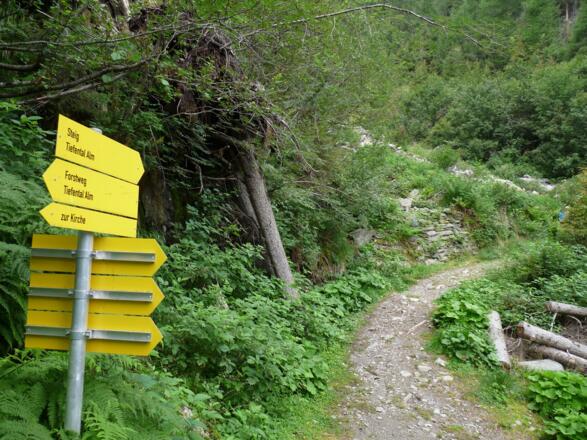 Wir wählen den Steig und nicht die Forststraße zur Tiefentalalm.