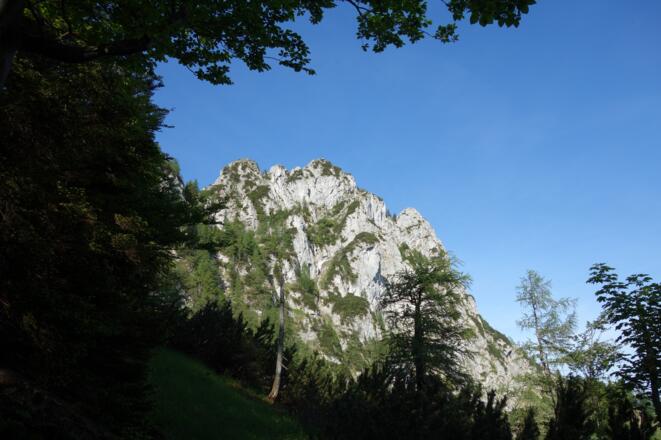 Rückblick vor der Weggabelung 1260m