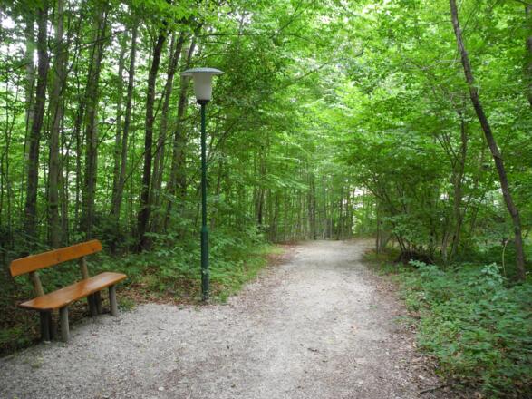 Auch in der Waldpassage beim Kroissengraben gibt es Bänke.