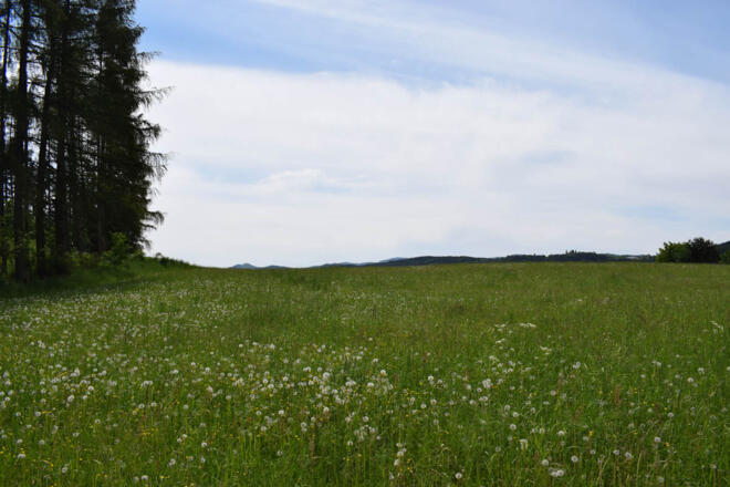 Blick zum Zeißberg