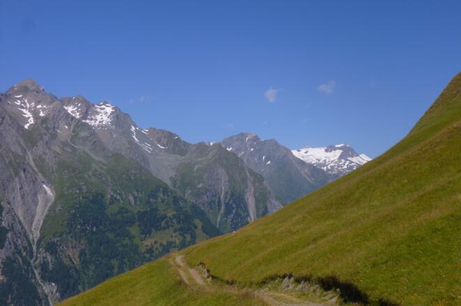 Edelweisswiesen