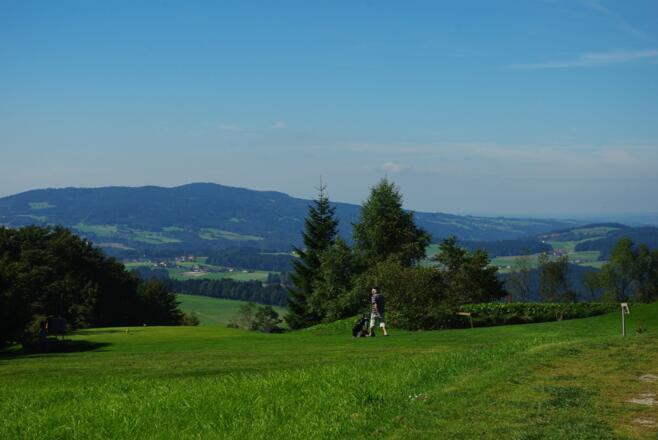 Am Schmetterlingswanderweg
