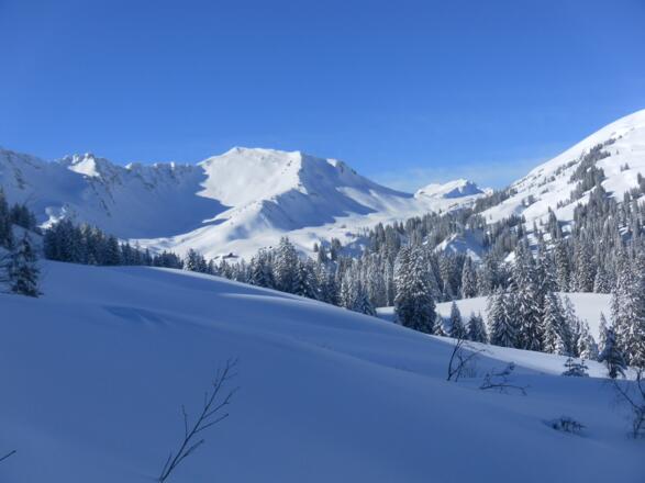 Schwarzwasserhütte unter dem Steinmandl, rechts im Hintergrund der Diedamskopf