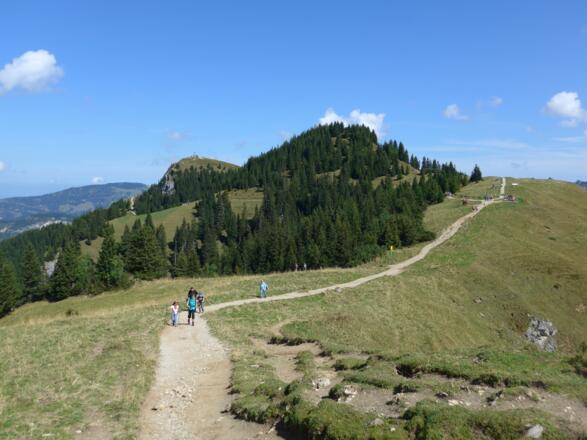 Kurz vor der Oberen Strindenalpe