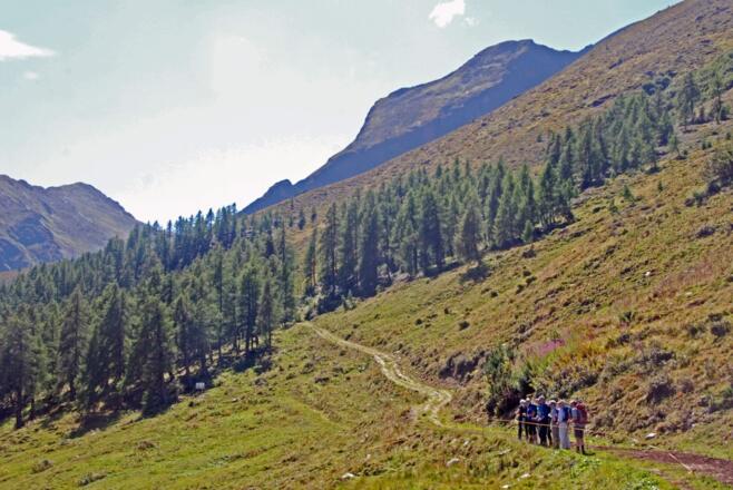 Durch das Almgebiet der Ganatschalm