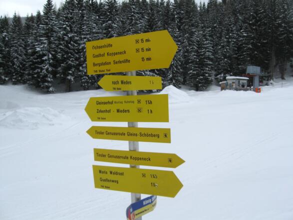 Bei der Talstation des kleinen Schleppliftes geht man am besten über die Piste Nr. 4 aufwärts zur Ochsenhütte.