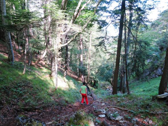 ... macht aus der Wanderung nach St. Magdalena eine kleine Rundtour.