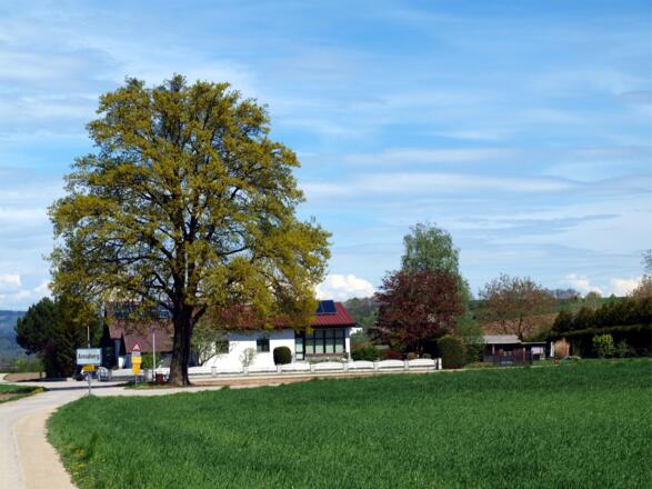 Annaberg 270m