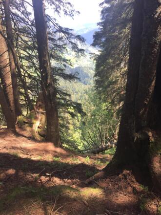 Abstieg Richtung Emser Hütte