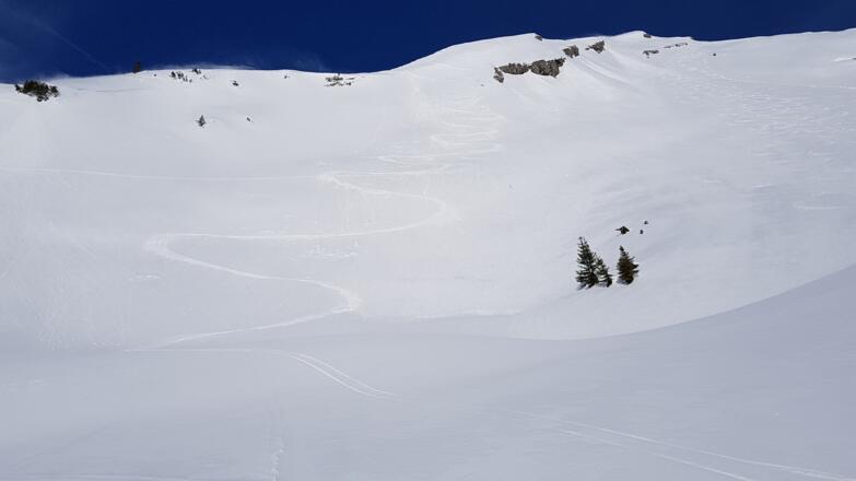 Herrliche Firnhänge, bei sicheren Verhlältnissen kann man vom Gipfel ins östliche Kar einfahren