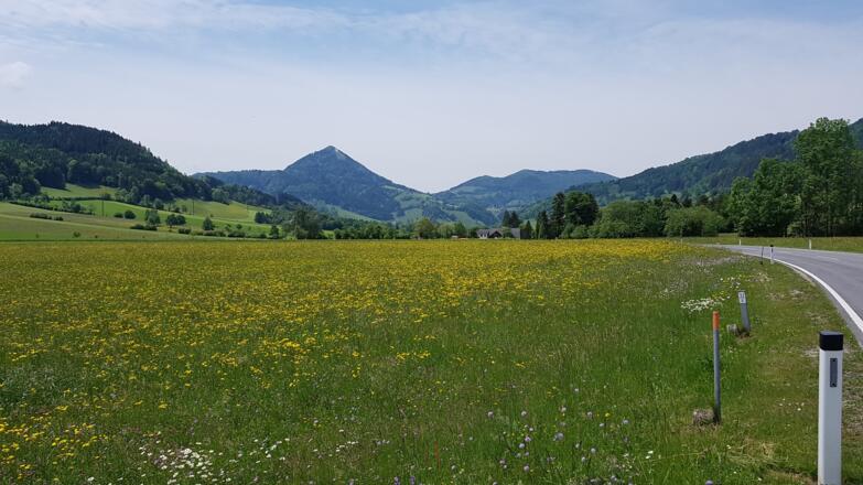 Überfahrt Richtung Gresten