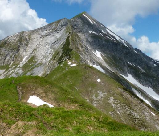 Steinfeldspitze