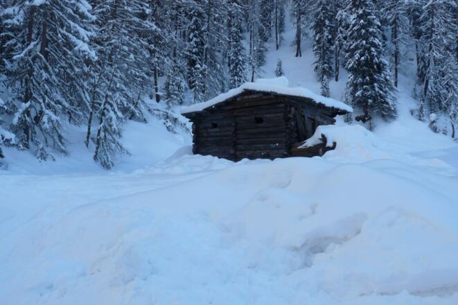 Bei der Kofleralm verlassen wir nun endgültig die Rodelbahn.
