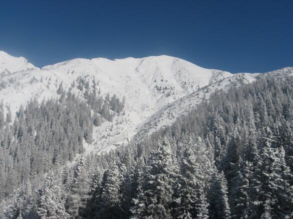 Die Wankspitze