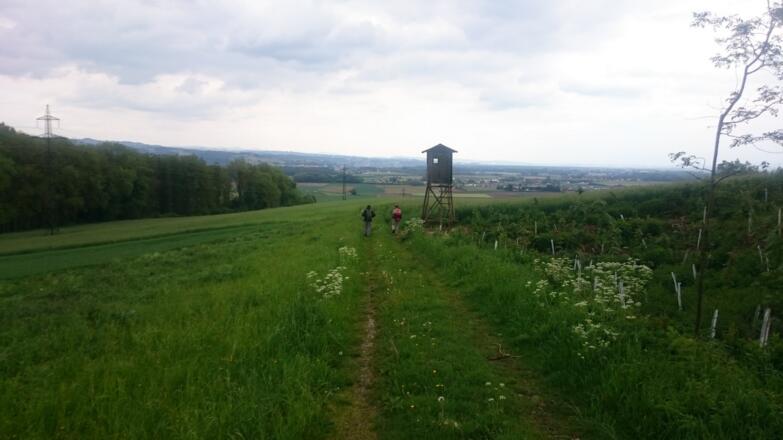 schöner Karrenweg kurz vor Mauthausen