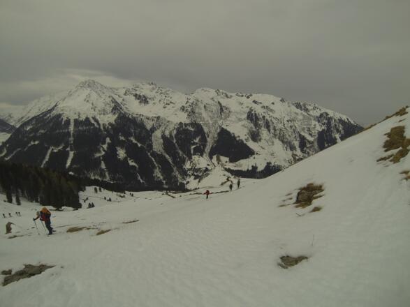 Kurz vor der Alm wird es etwas steiler.