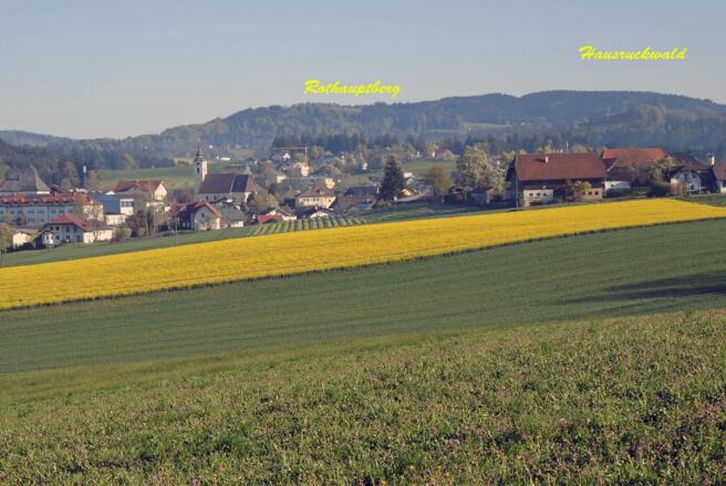 Blick von Ortschaft Haid Richtung Neukirchen