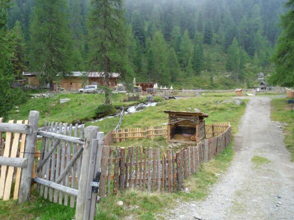 Die Tiefentalalm auf 1880 m ist erreicht.