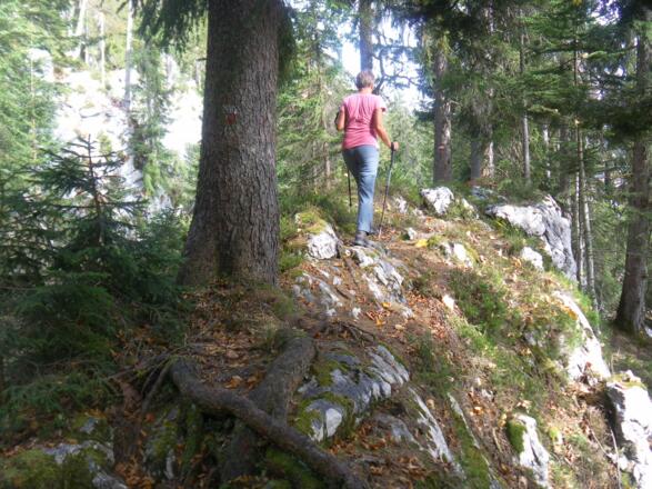 Felsrippe am Südwestrücken