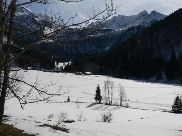 Blick auf die Langlaufloipe, auf Leopolden und die Haller Mauern