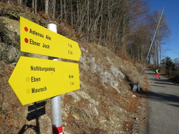 Unsere Ziele: "Astenau Alm" und "Ebner Joch".