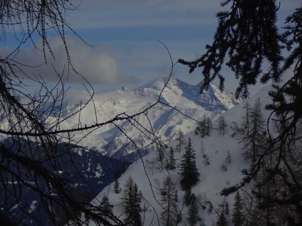 Blick zum Olperer