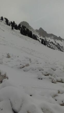 Gleischneelawinen unter der Schneid und den beiden &quot;Ditzeln&quot;