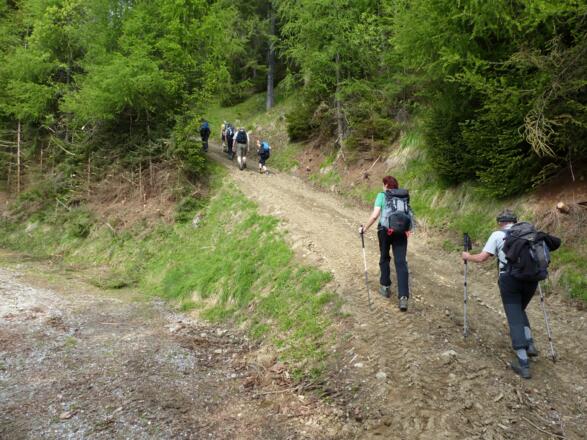 Nach einer markanten Kehre, zweigt rechts ein neuer (sehr steiler) Traktorweg ab, dem man folgt.