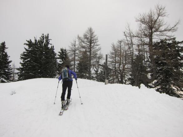 Am Schafkogel, einem Vorgipfel der Haller Mauern