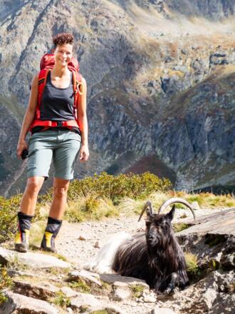 Schwarz-weiße Ziegen haben uns kurz vor der Hütte empfangen.