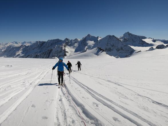 Auf ca. 3100 m erreichen wir den weitläufigen Gletscherboden des Berglasferners. Hinten der Vordere Wilde Turm (33177 m) rechts die Turmscharte. Dahinter links die Östliche Seespitze, rechts die Ruderhofspitze (3473 m).