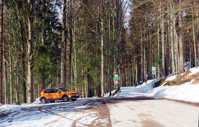 P Holzschlag ~890m