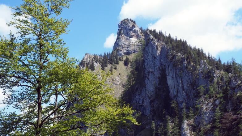Katzenstein vom "Gassnersteig" ~1040m