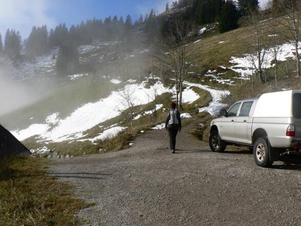 Oberhalb der Alm führt ein breiter Weg hinauf Richtung Pfannstein...