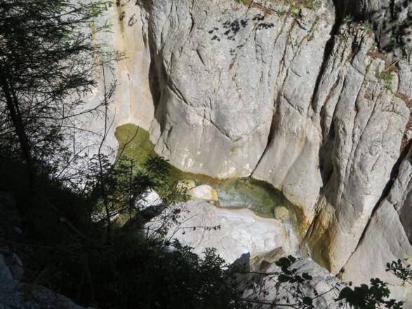Rindbachschlucht