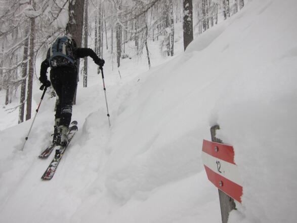Den Sommerweg folgend bis zur Wildalm